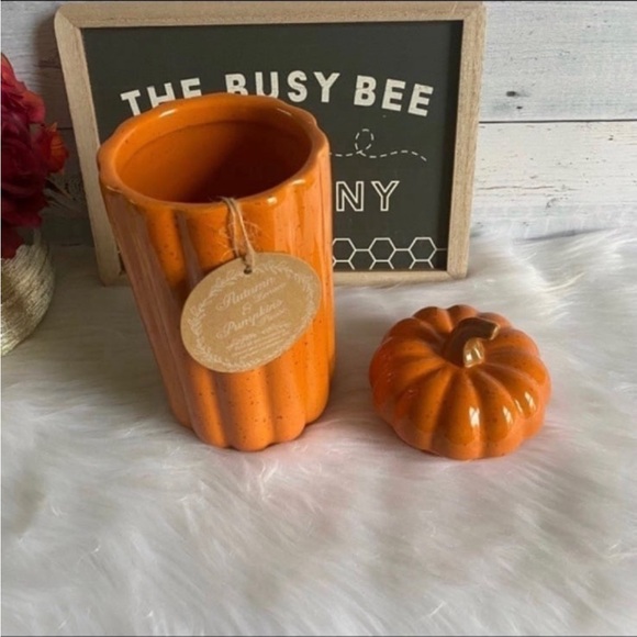 10 Strawberry Street Large Pumpkin Canister - Picture 2 of 5